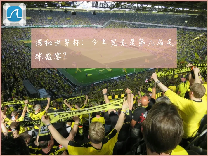 揭秘世界杯：今年究竟是第几届足球盛宴？
