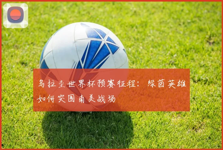 乌拉圭世界杯预赛征程：绿茵英雄如何突围南美战场