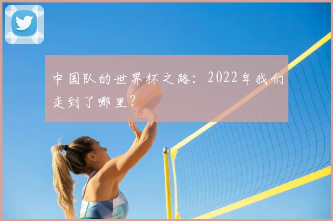 中国队的世界杯之路:2022年我们走到了哪里?