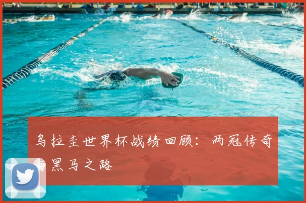 乌拉圭世界杯战绩回顾：两冠传奇与黑马之路